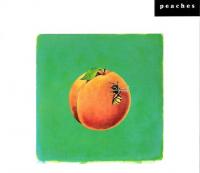 Debbie Harwood Peaches So This Is Love