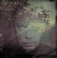 Delaney Davidson Shining Day