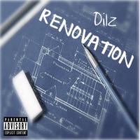 Dilz Renovation