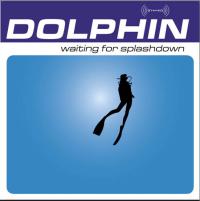 Dolphin Waiting For Splashdown