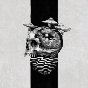 Eraseeverythingcover