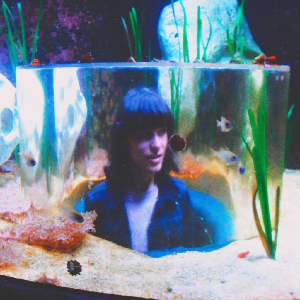 Floydmarsdencover