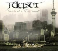 Fuelset Sounds Of A Dying Seagull