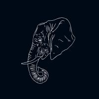 Fyveyes Elephant Room