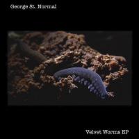 George St. Normal Velvet Worms