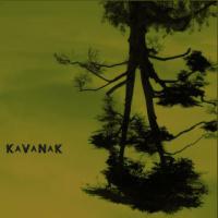 Ginzu And The Steak Knives Kavanak