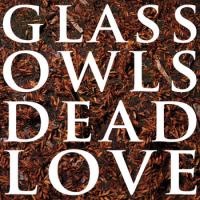 Glass Owls Dead Love