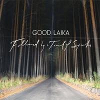 Good Laika Followed By A Trail Of Sparks