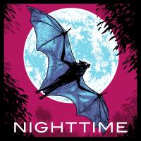 Hang Glider Nighttime