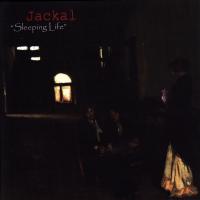 Jackal Sleeping Life