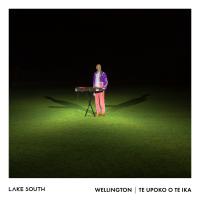 Lake South Wellington Te Upoko O Te Ika