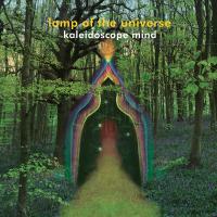 Lamp Of The Universe Kaleidoscope Mind