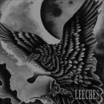 Leeches Leeches