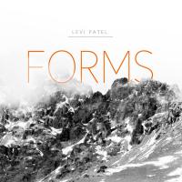 Levi Patel Forms