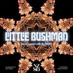 Little Bushman Live In Concert With The Nzso