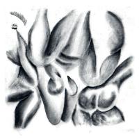 Louisa Nicklin When Are You Home