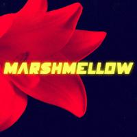 Marshmellow Love Is Love