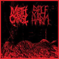 Methchrist Methchrist / Self Harm Split