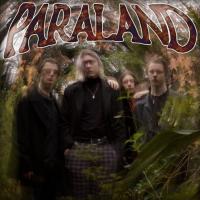 Miss Used Paraland