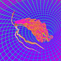 Missrosevalentina Shapeshifter