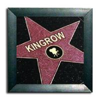 N Somnia The Pick Of Kingrow
