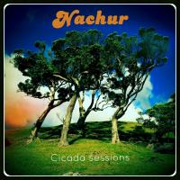 Nachur Cicada Sessions