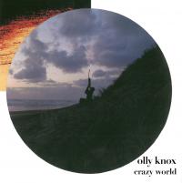 Olly Knox Crazy World
