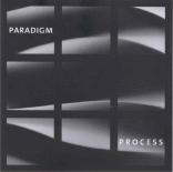 Paradigm Process