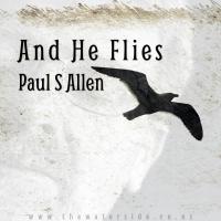 Paul S Allen And He Flies