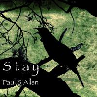Paul S Allen Stay