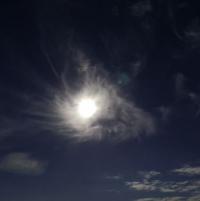 Photonic Brainwave Dream Surf