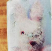 Polaroids Of Polarbears This Is What I Heard