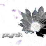 Psyrok Volume 1