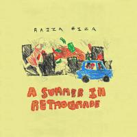 Raiza Biza A Summer In Retrograde