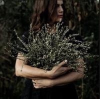 Raylee Bradfield Where Wildflowers Grow