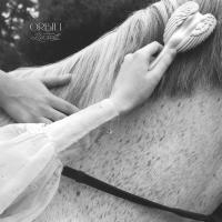 Recitals Orbit I