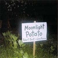 Robert Scott Moonlight Potato