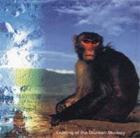 Salmonella Dub Calming Of A Drunken Monkey