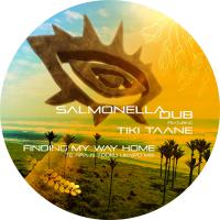 Salmonella Dub Finding My Way Home The Underfloat Digi Ep