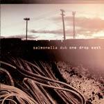 Salmonella Dub Outtakes & Remixes
