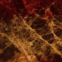 Serpent Dream Psychosis