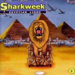 Sharkweek Egyptian Lions