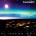 Sharkweek The Hammerhead Nebula