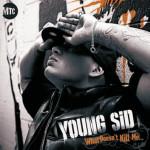 Sid Diamond What Doesn't Kill Me