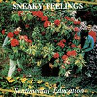 Sneaky Feelings Sentimental Education