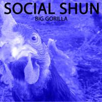 Social Shun Big Gorilla