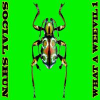 Social Shun What A Weevil 1