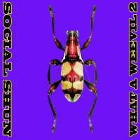Social Shun What A Weevil 2