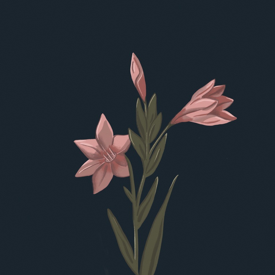 Somedistancecover