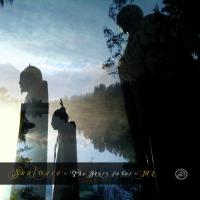 Soulware The Story So Far: Pt 1